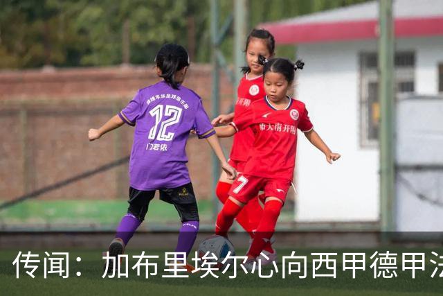 传闻：加布里埃尔心向西甲德甲法甲豪门