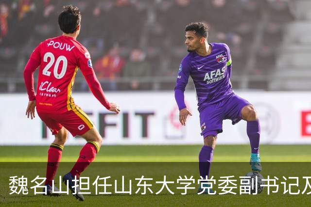 魏名山担任山东大学党委副书记及纪委书记职务